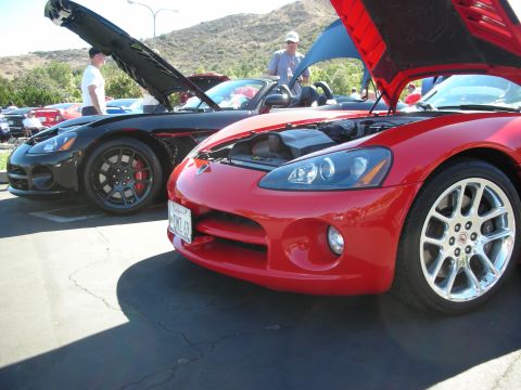 1998 Ford Crown Victoria - red and a black Dodge Viper sit side by side with hoods raised at a sunny outdoor car show.