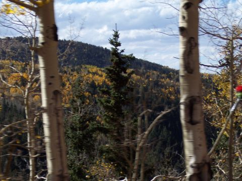 1972 Ford Ranchero - Autumn foliage covers a mountainside, with aspen trees in the foreground.