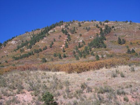 1972 Ford Ranchero - A vast mountain landscape under a bright blue sky, dotted with evergreen trees and autumnal foliage.
