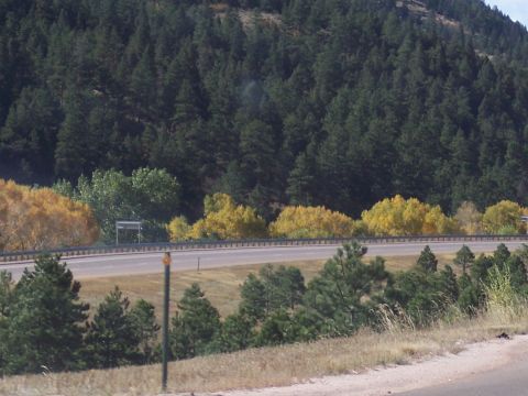 1972 Ford Ranchero - A highway cuts through a landscape of pine trees and colorful autumn foliage on a hillside.