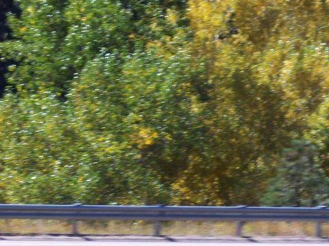 1972 Ford Ranchero - A blurry shot shows trees with autumn foliage alongside a highway guardrail.
