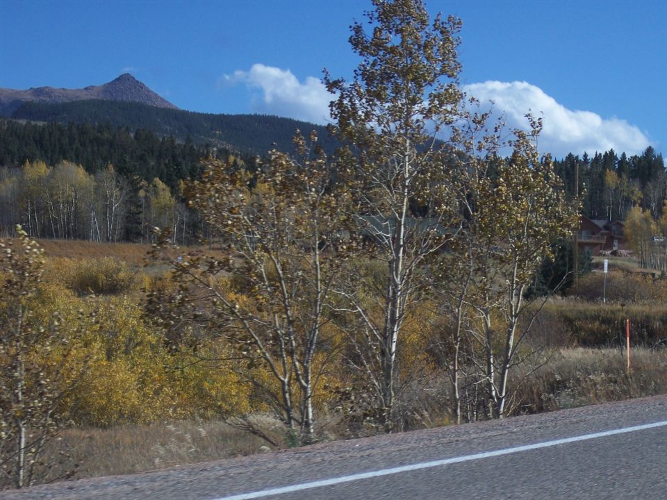 Roadside mountain landscape with fall aspens, a peak and a house