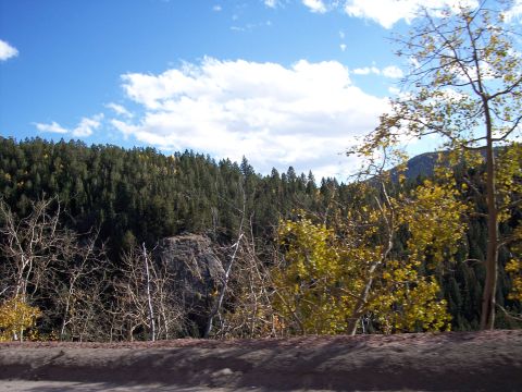 1972 Ford Ranchero - Autumn scene in the mountains with a mix of evergreen and deciduous trees under a cloudy sky.