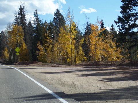 1972 Ford Ranchero - Autumn trees line a roadside with a yellow warning sign visible.