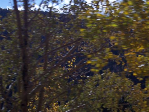1972 Ford Ranchero - A blurry scene of trees with autumn foliage, suggesting a drive through a wooded area.