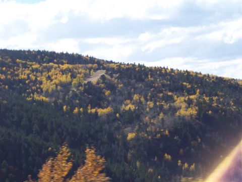 1972 Ford Ranchero - A mountain slope is covered in a mix of dark evergreen trees and deciduous trees showing fall colors.