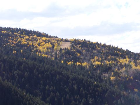 1972 Ford Ranchero - A scenic view of a mountain slope covered in a mix of evergreen and deciduous trees, vibrant fall colors.
