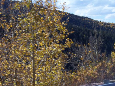 1972 Ford Ranchero - A scenic view of a mountain covered in trees during the fall season.