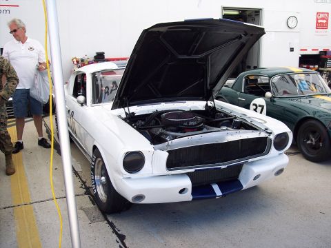 1971 Ford Mustang - A white classic car with its hood open is parked next to a green vintage race car.