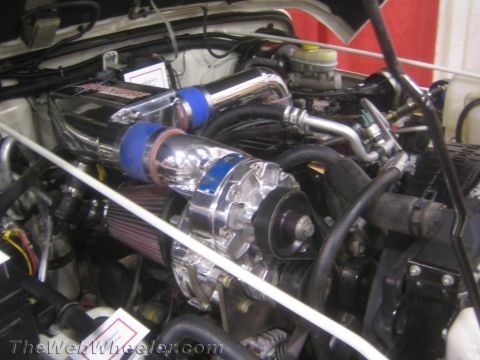 1990 Ford Bronco - chrome supercharger with blue silicone couplers and a cone air filter mounted in a tidy engine bay.