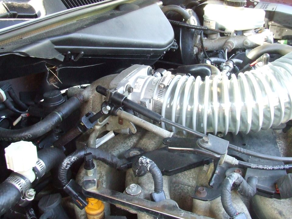 Engine bay with cold air intake and throttle body