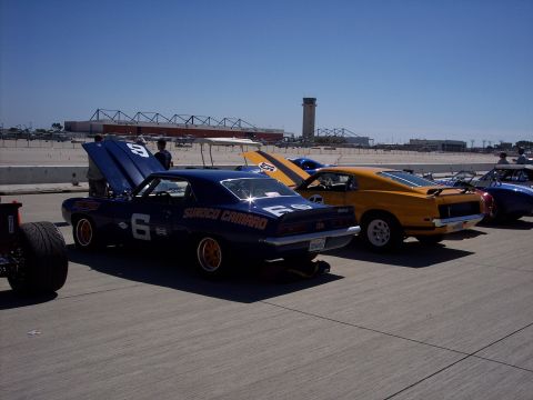 1971 Ford Mustang - Several vintage race cars are lined up on a sunny day, with an airport control tower in the background.
