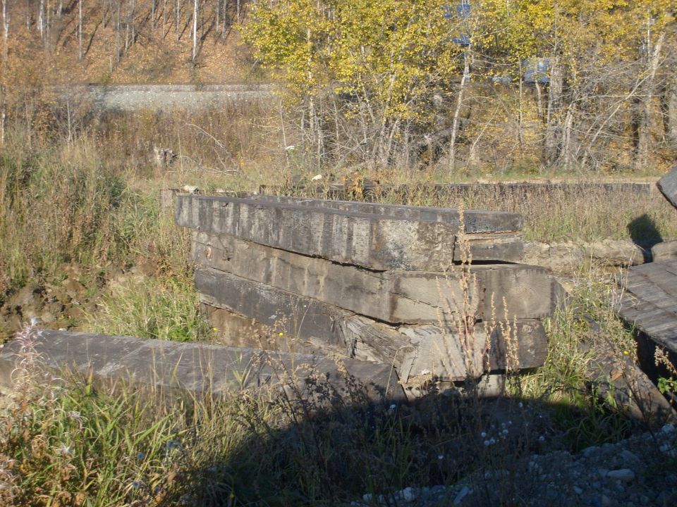 Concrete blocks stacked in overgrown grass with trees in background