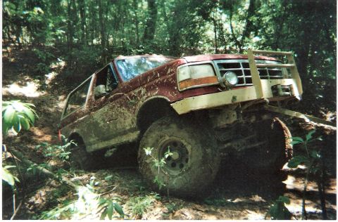 1995 Ford Bronco - This SUV appears to be stuck on a challenging off-road trail surrounded by dense foliage.
