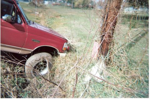 1995 Ford Bronco - Red 1995 Ford Bronco is stuck in the grass next to a tree.