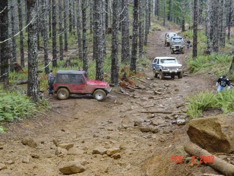 1985 Ford Bronco - Multiple off-road vehicles navigate a challenging, wooded trail with rocky terrain.