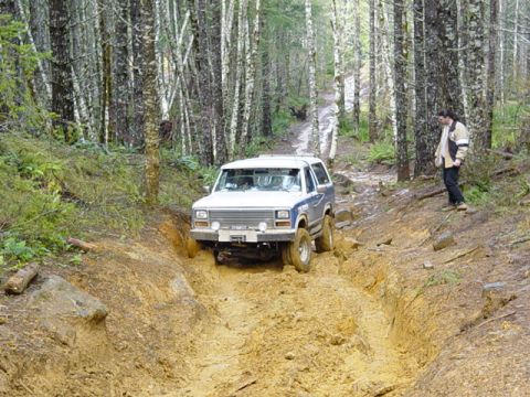 1985 Ford Bronco - A Ford Bronco navigates a challenging muddy path through a dense forest during an off-road event.