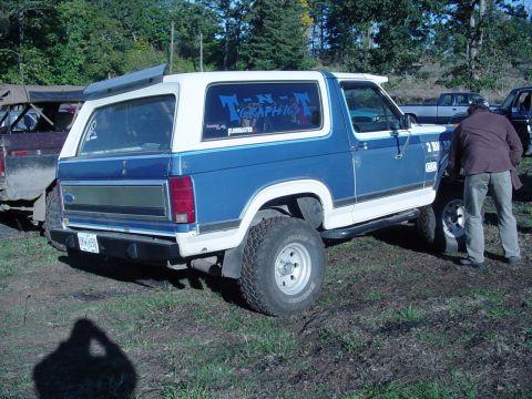 1985 Ford Bronco - A blue and white 1985 Ford Bronco is parked outdoors with another vehicle partially visible to its left.