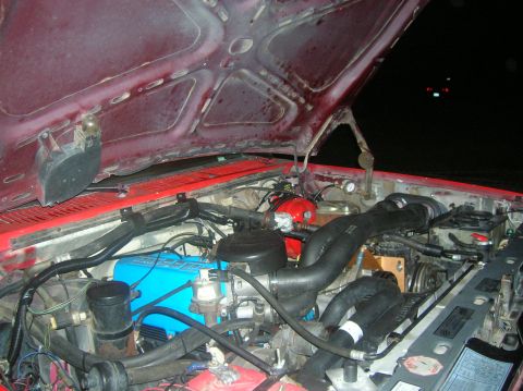1985 Ford Bronco - another random engine shot.