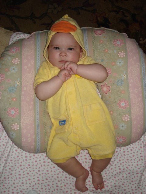2000 Ford Crown Victoria - A baby dressed as a duck rests on a pillow, looking at the camera.