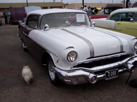 1972 Ford Ranchero - A two-tone 1955 Pontiac Chieftain is displayed at a car show, with a small fluffy dog walking in front of it.