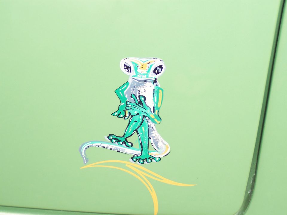 Light green vehicle panel with a cartoon gecko decal and yellow pinstripes
