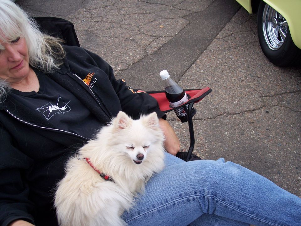 Woman sitting in a chair with a fluffy white dog on her lap. A bottle of soda is in the chair's cup holder. Part of a yellow car is visible on the right