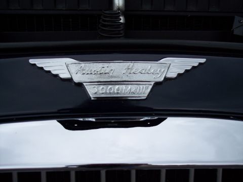 1972 Ford Ranchero - A close-up view of the Austin Healey 3000MKIII emblem on the front of a vehicle.