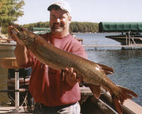 1980 Ford Bronco - I fished my first (but not my last!) musky tournament with my uncle Sept 22-23; The Hodag Musky Challenge. He caught this 37.5" Saturday.