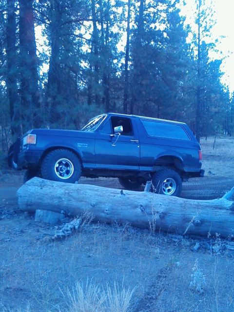 1988 Ford Bronco - Driver-side profile of a blue full-size Ford Bronco with a removable hardtop, parked on a dirt clearing in a pine forest at dusk behind a l…