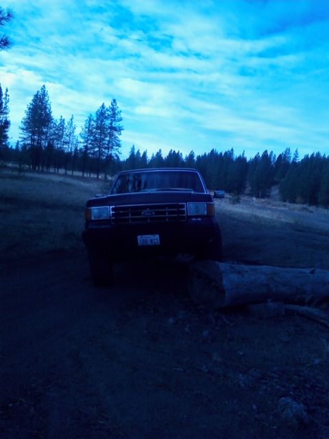 1988 Ford Bronco - 1988 Ford Bronco parked on a dirt road with a fallen log nearby.