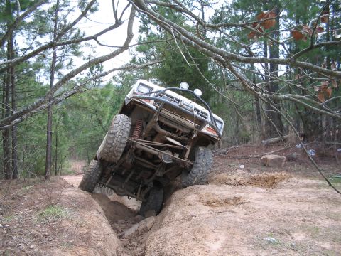 1979 Ford Bronco photo