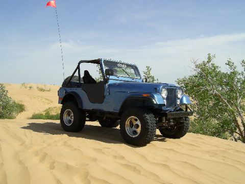 1979 Ford Bronco photo