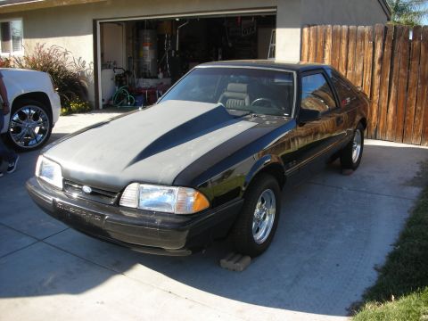 1998 Ford Crown Victoria - A black Ford Mustang with a grey hood is parked in front of a garage.