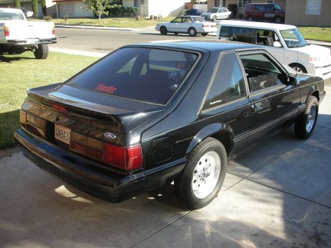 1998 Ford Crown Victoria - Rear 3/4 view of a black coupe with a red 'Mustler' sticker on the rear window and a spoiler.