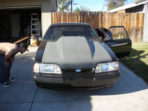 1998 Ford Crown Victoria - A person inspects a modified Ford Mustang with a prominent hood scoop parked in a driveway.