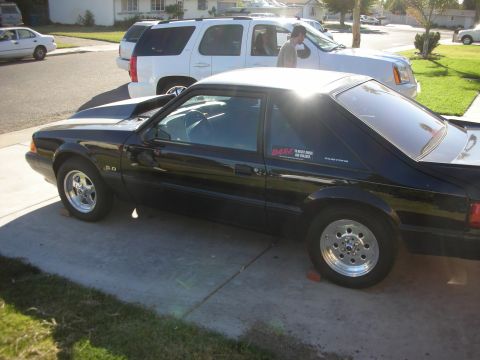 1998 Ford Crown Victoria - A black Ford Mustang is parked in a driveway next to two SUVs and a sedan.