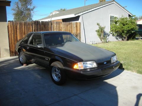 1998 Ford Crown Victoria - A black coupe with a grey hood and chrome wheels is parked on a concrete driveway in front of a wooden fence and a house.