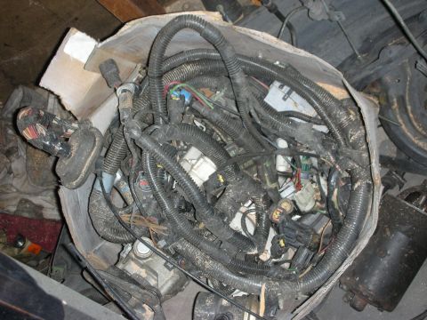 1998 Ford Crown Victoria - A messy bundle of automotive wiring harnesses is piled inside a cardboard box, with various connectors and corrugated tubing visible.