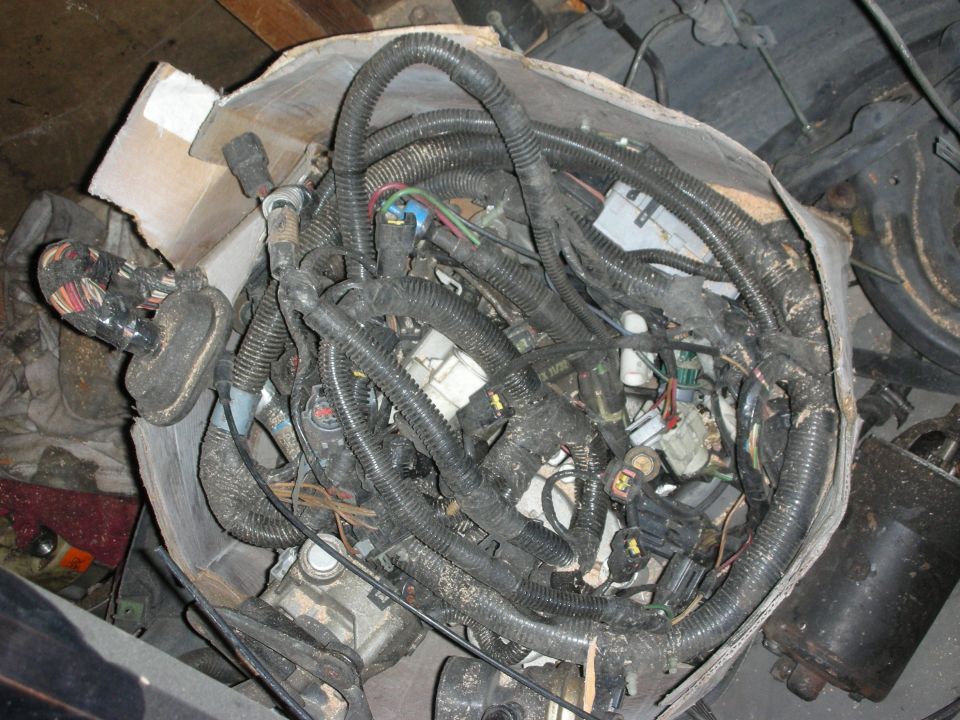 Bundled automotive engine wiring harness in a cardboard box