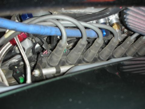 1998 Ford Crown Victoria - Close-up of engine spark plug wires and associated plumbing.