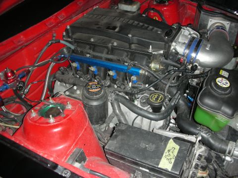 1998 Ford Crown Victoria - Engine bay details showing fuel system and intake components.