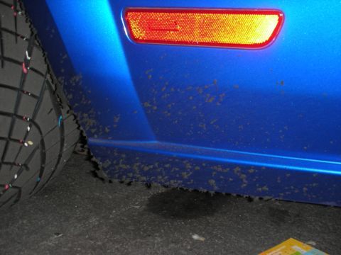 1998 Ford Crown Victoria - Mud splatters are visible on the lower side panel of a blue vehicle, near the tire and a reflective marker light.