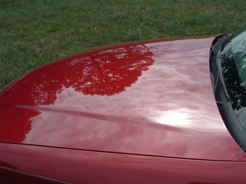 1999 Mercury Grand Marquis - The reflection of a tree and clouds on the shiny red hood and windshield of a car.