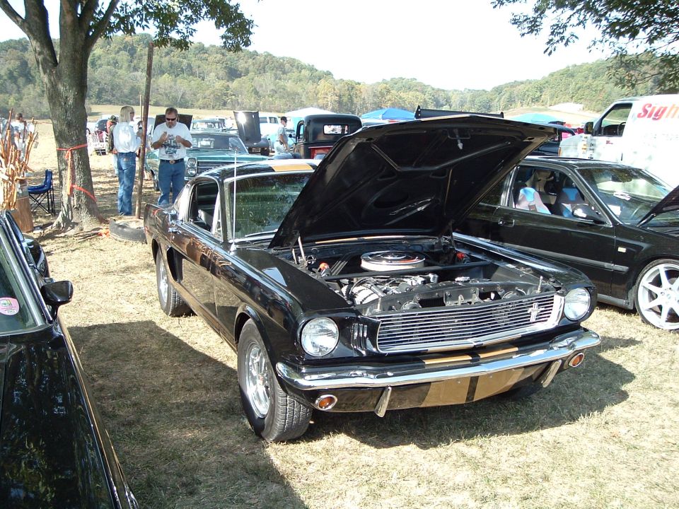 Black 1965 Ford Mustang coupe, hood open, gold stripes