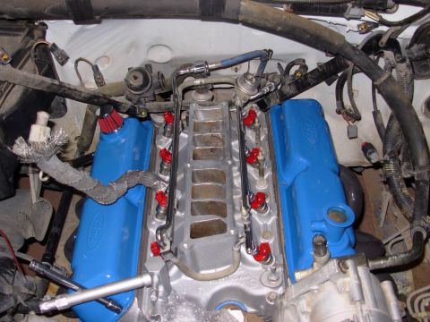 1994 Ford Bronco - Close-up view of a Ford V8 engine, showing blue valve covers and red fuel injectors.
