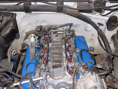1994 Ford Bronco - Close-up view of an engine bay blue valve covers and fuel injection system components.