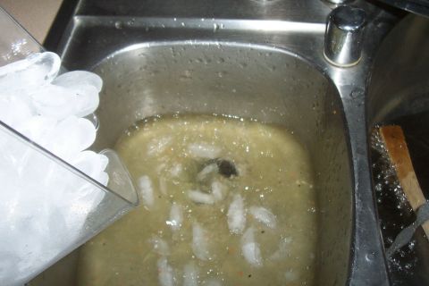 1994 Ford F-150 - Ice is poured into a sink filled with murky water, obscuring the drain.