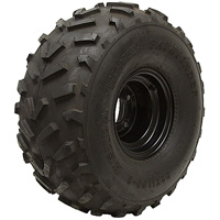 2001 Ford F-150 - Mud tire