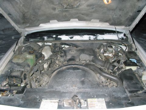 1996 Ford Crown Victoria - The engine bay of a vehicle is shown with the hood open, revealing various components and wiring.